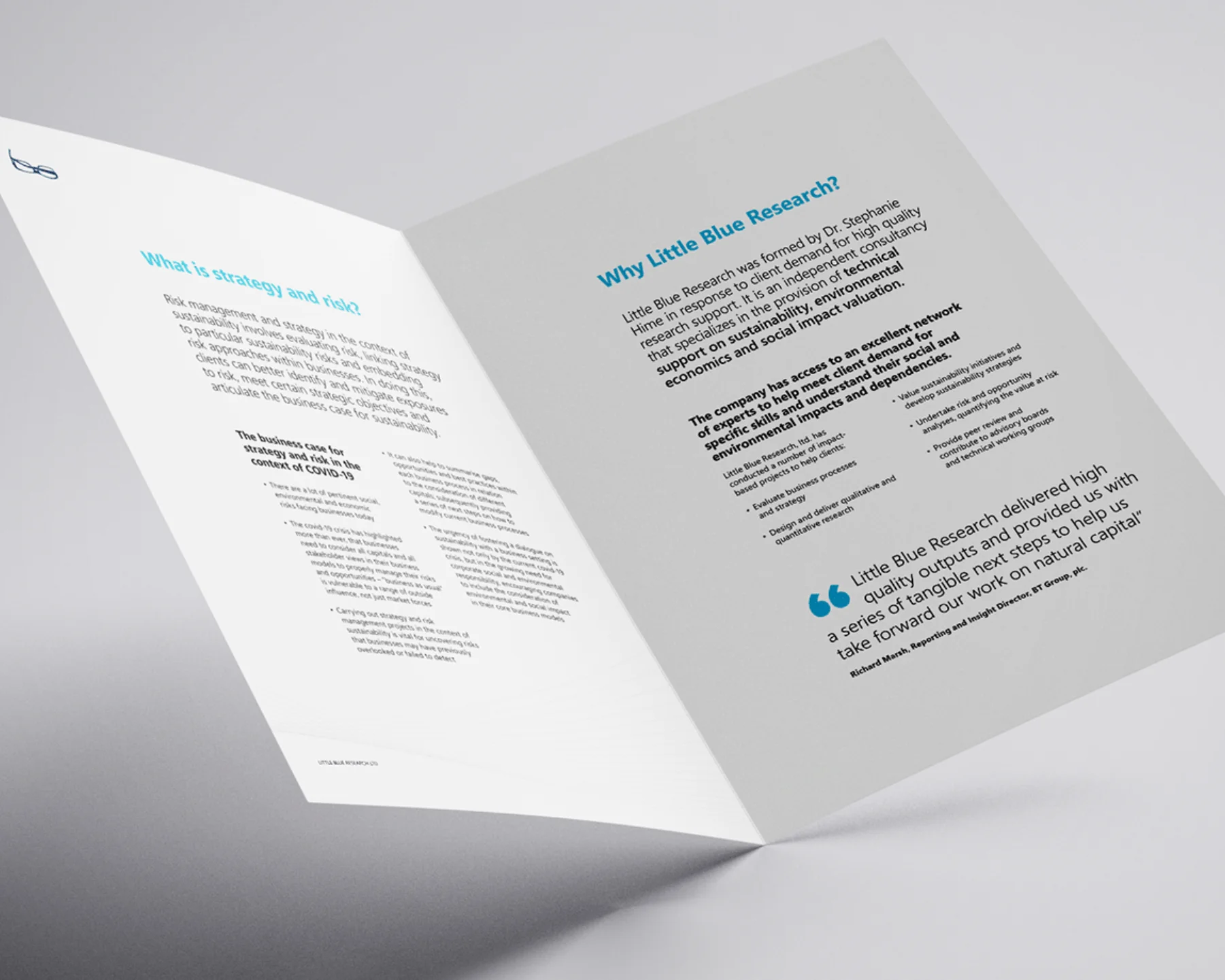 Editorial design for Little Blue Research by AlphaTwice London.